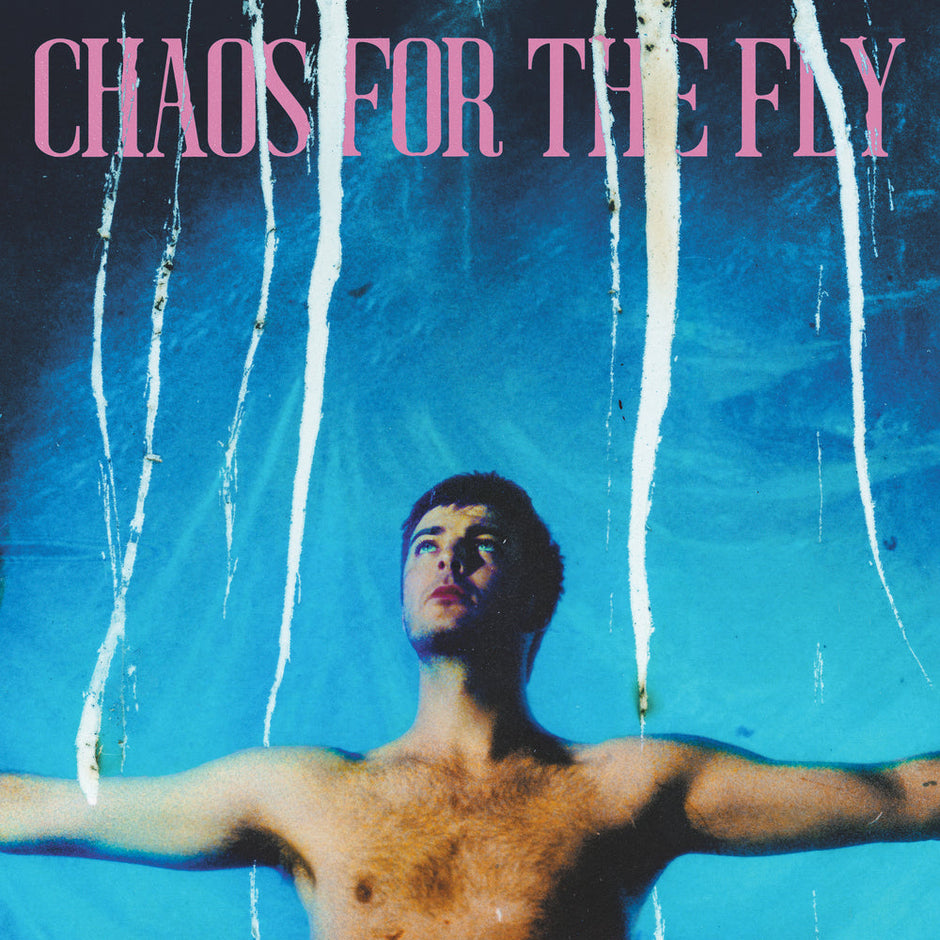 Chaos For The Fly CD