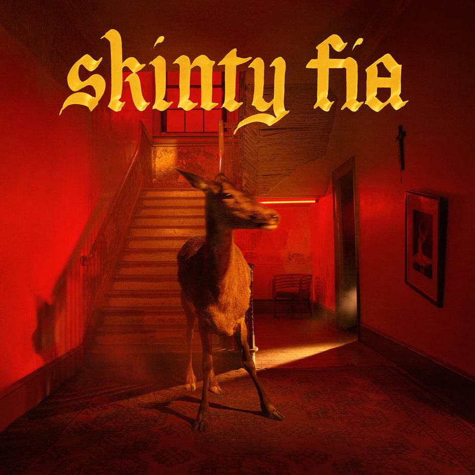 Skinty Fia Cassette