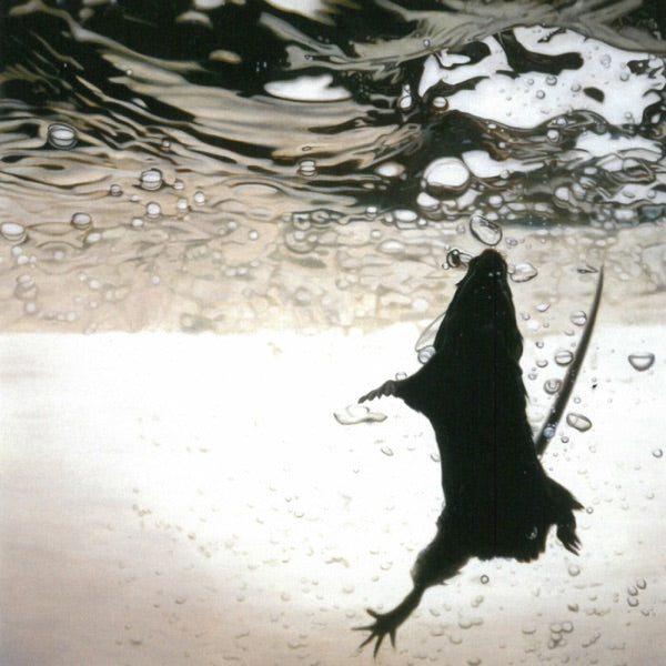 Swimmer — Digital Download