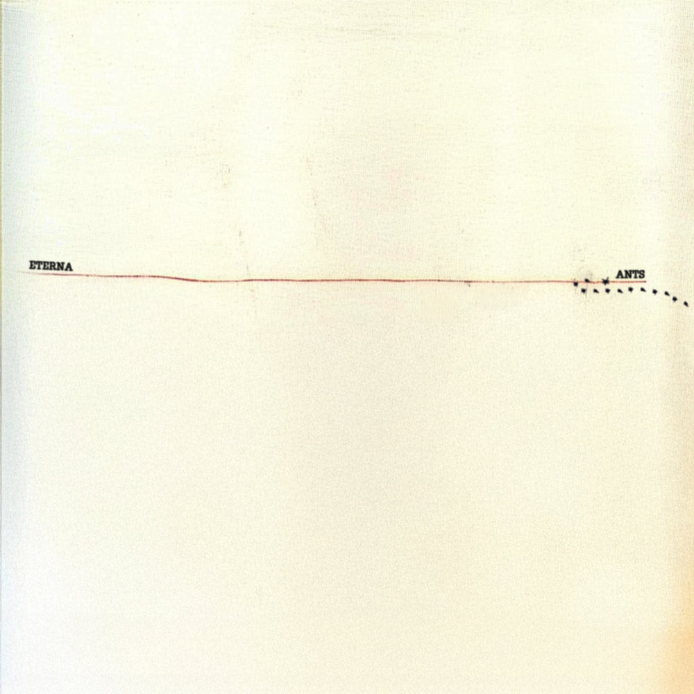 Ants — Digital Download