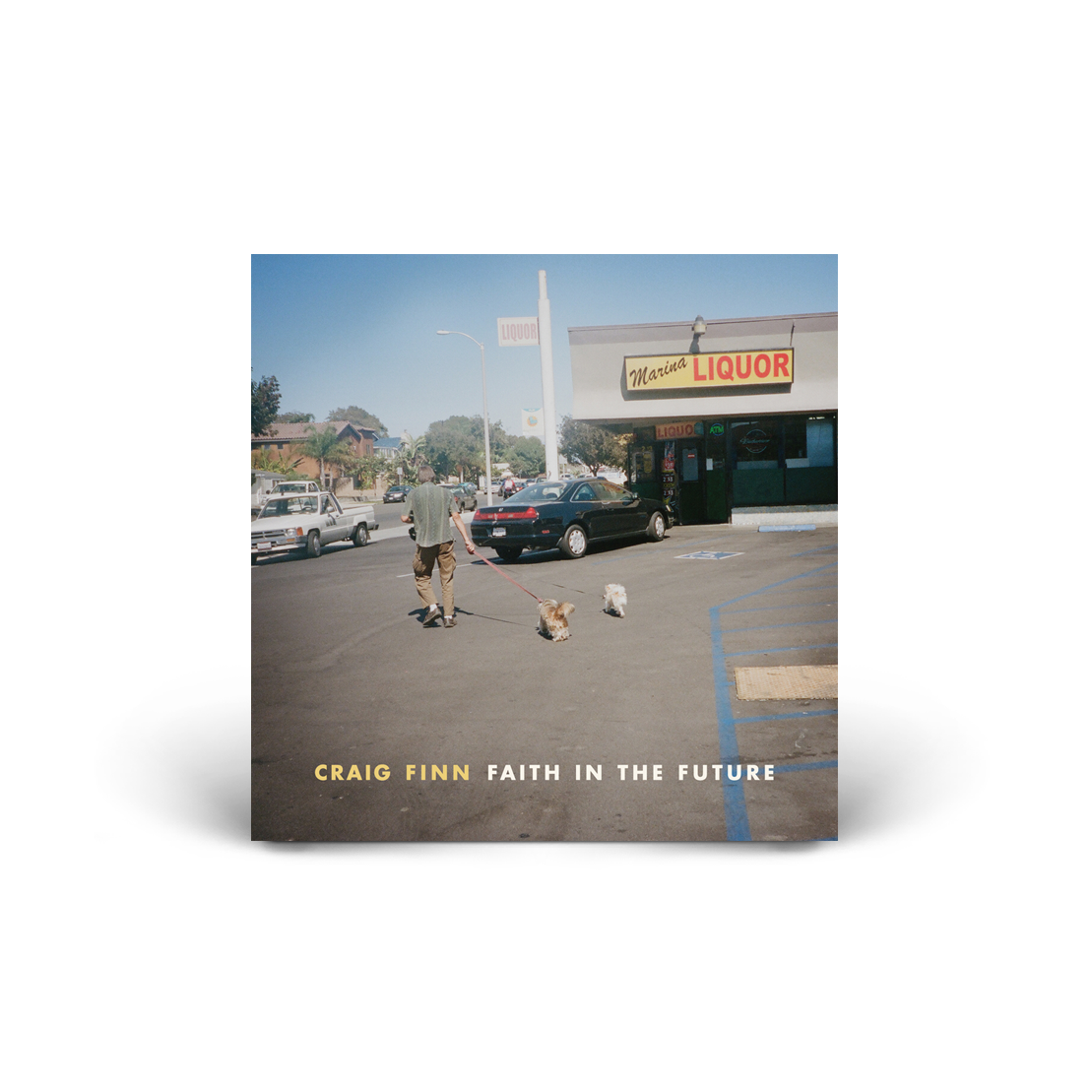 Faith in the Future LP
