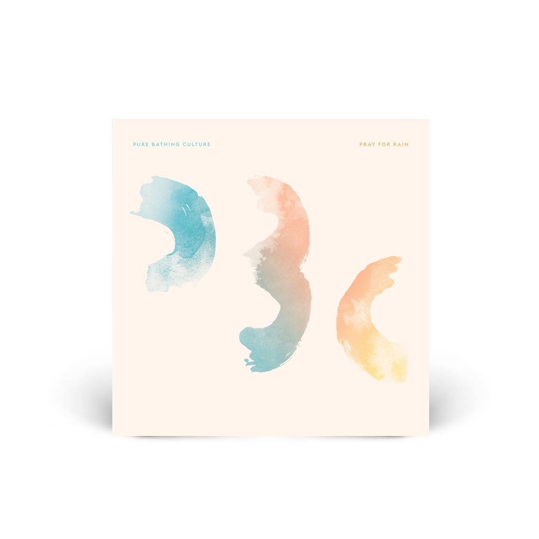Pray For Rain CD
